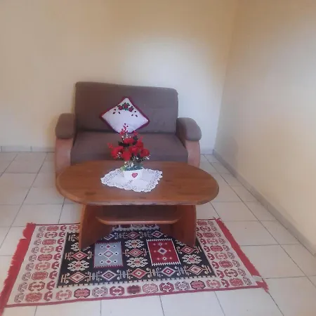 Pe Malul Raului Bega * تيميشورا