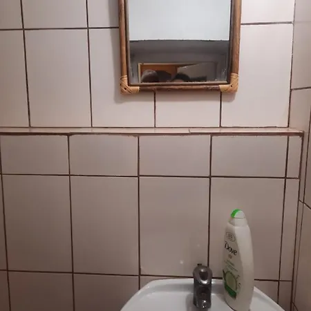 Pe Malul Raului Bega Apartament