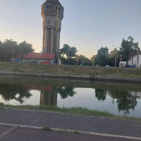 Pe Malul Raului Bega Apartament *