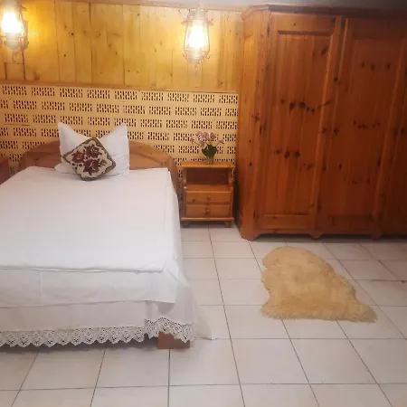 Apartment Pe Malul Raului Bega Timisoara