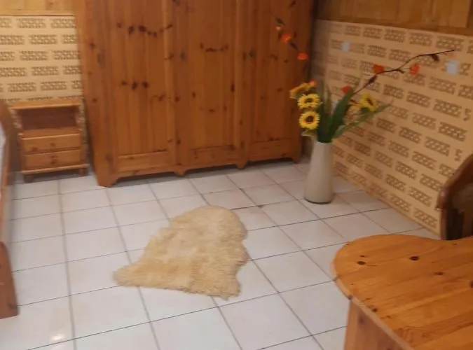 Pe Malul Raului Bega