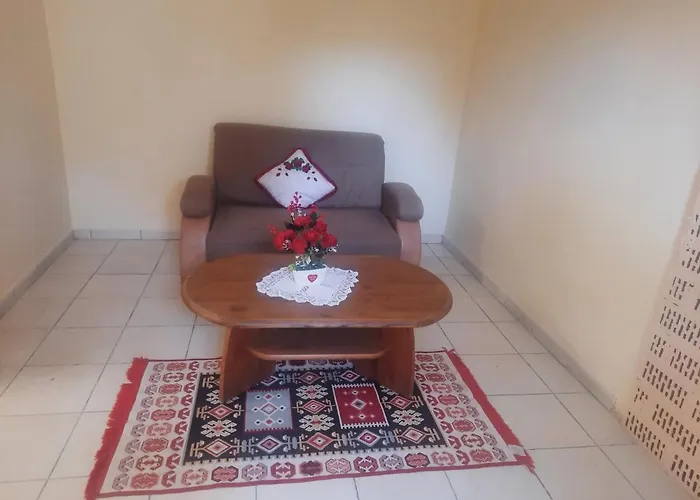 Pe Malul Raului Bega * Timişoara