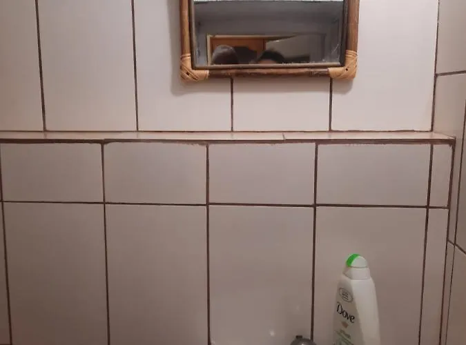 Pe Malul Raului Bega Apartamento