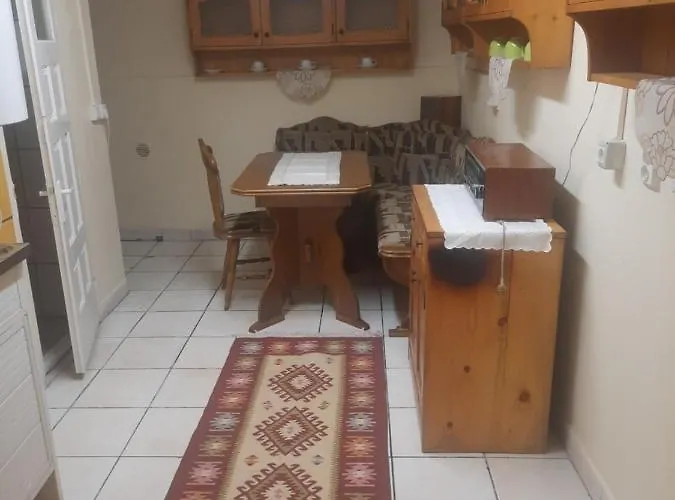 Pe Malul Raului Bega