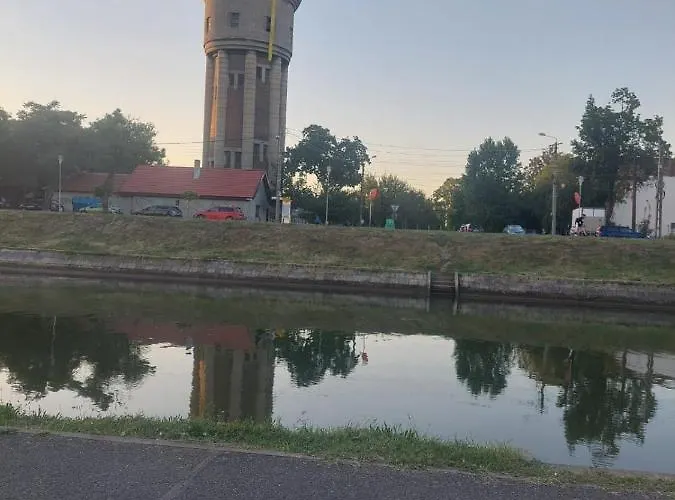 Pe Malul Raului Bega Apartamento *